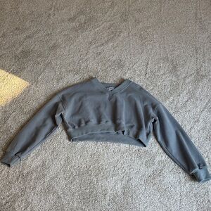 Gold Hinge Gray Cropped Sweatshirt